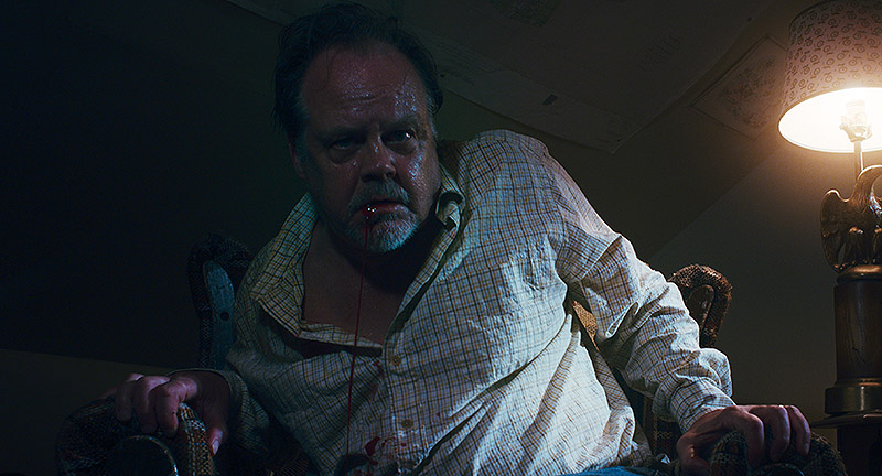 Good Boy: el fenómeno canino que redefine el cine de terror