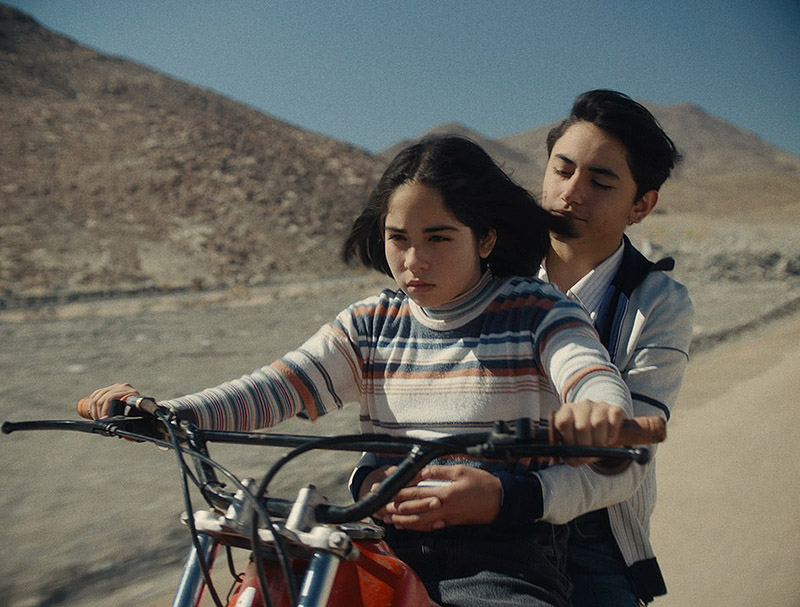 La Misteriosa Mirada del Flamenco: Amor, Miedo y Comunidad