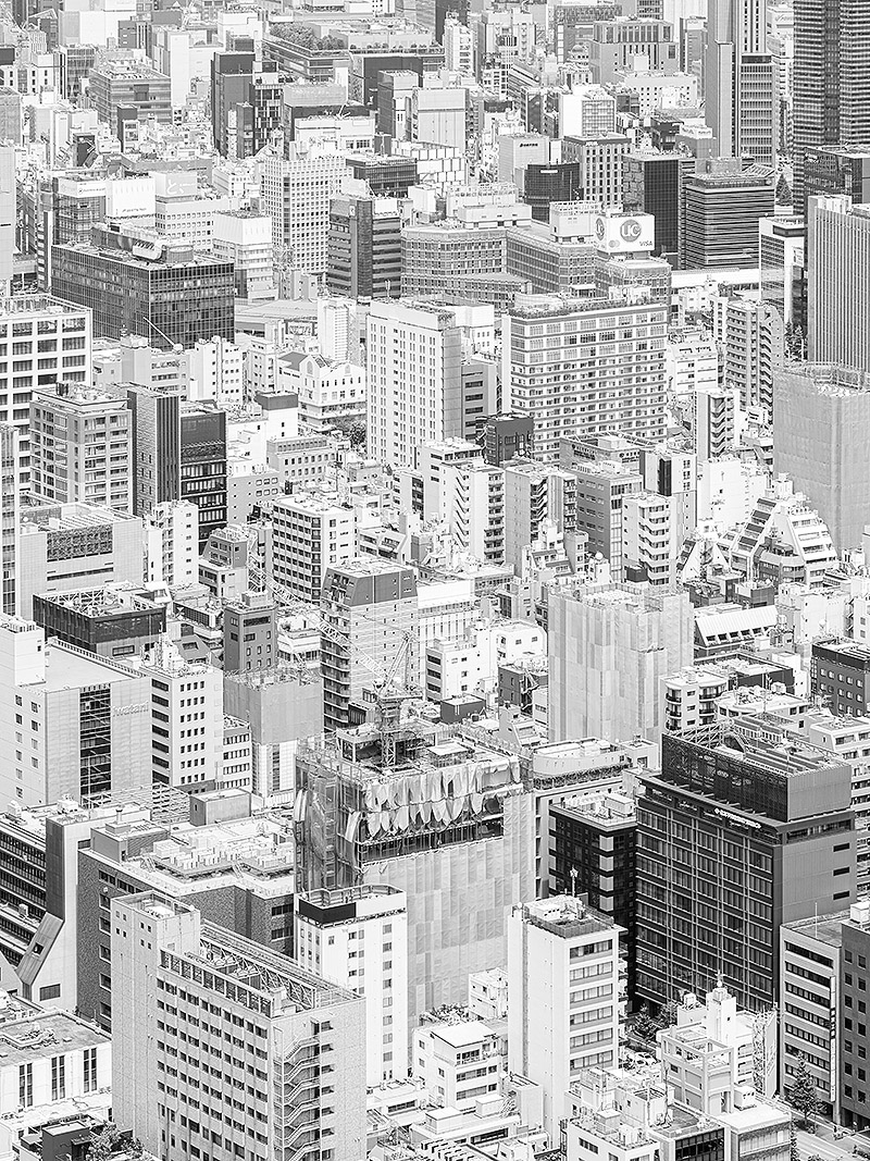 Laura San Segundo - foto de rascacielos