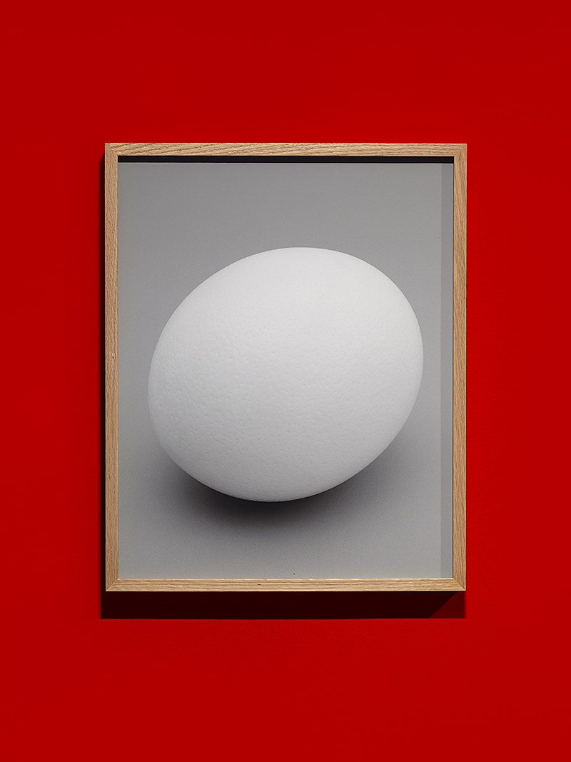 Laura San Segundo - foto de in huevo