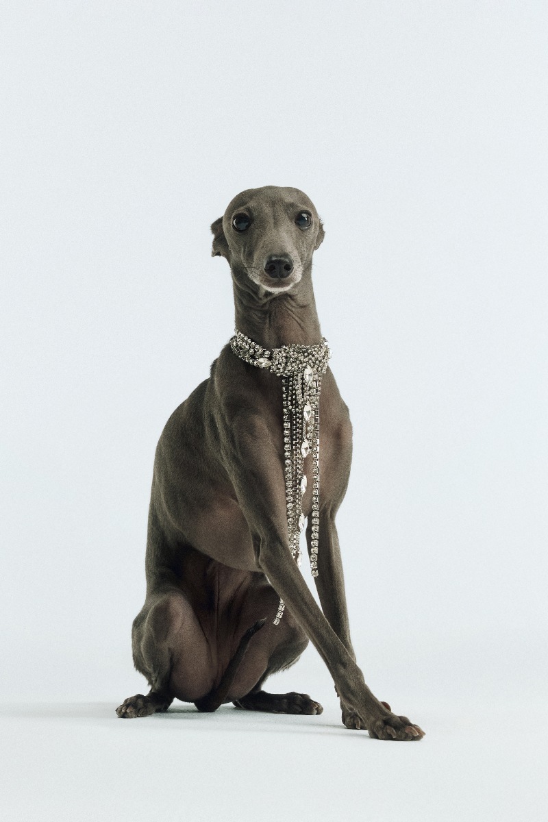 regalos experto moda navidad compra bimba y lola