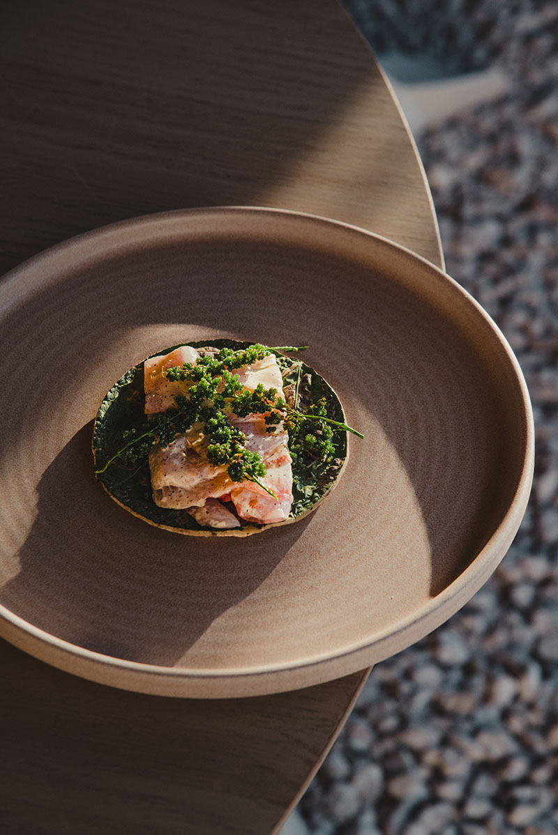 Restaurante Ixum, Cancún y el arte de mezclar raíces