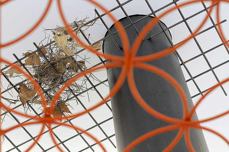 Calor Calima, lo último de Christian Lagata en Artnueve