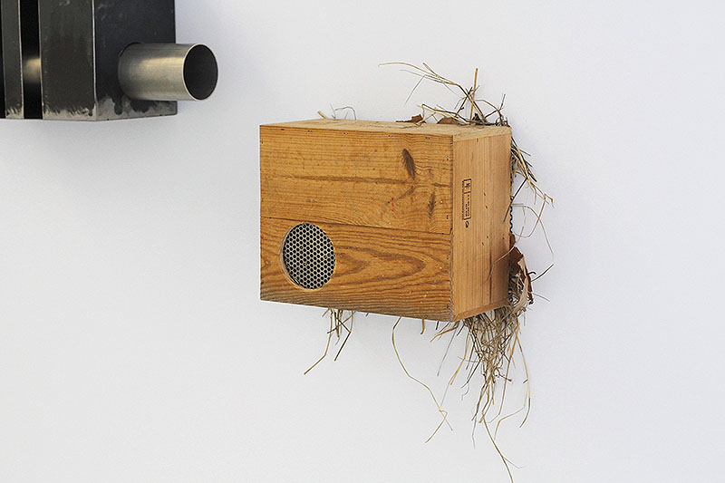 Calor Calima, lo último de Christian Lagata en Artnueve