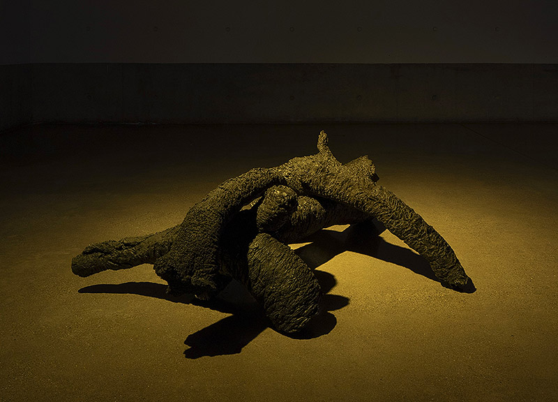 Samuel Domínguez presenta Cyborg Botanies en Chile