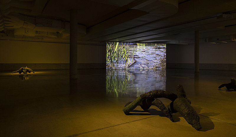 Samuel Domínguez presenta Cyborg Botanies en Chile