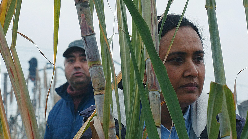 Historias del Buen Valle: Guerín observa la periferia
