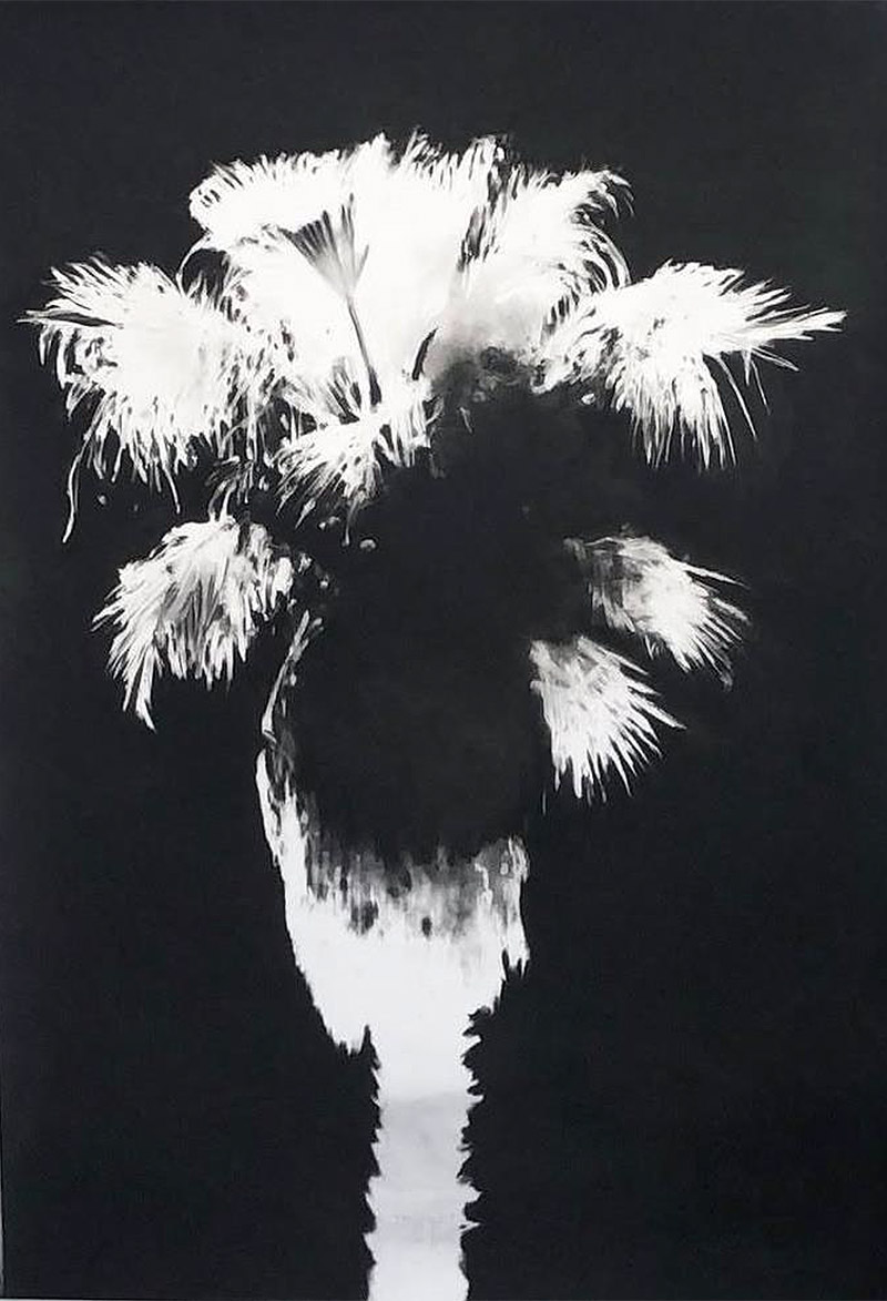 On Paper Grandes Papeles Secundarios: dibujo protagonista