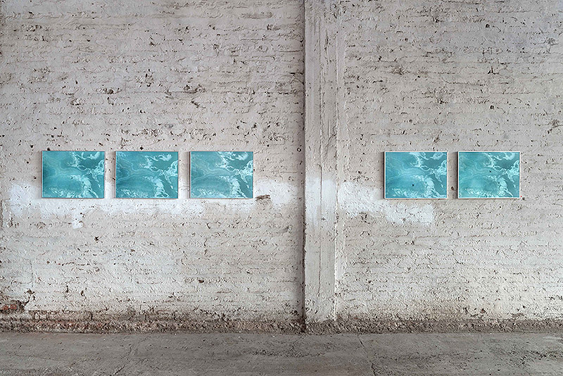 Samuel Domínguez presenta Cyborg Botanies en Chile