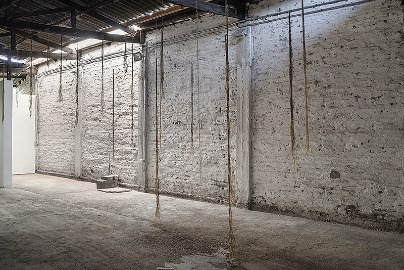 Samuel Domínguez presenta Cyborg Botanies en Chile