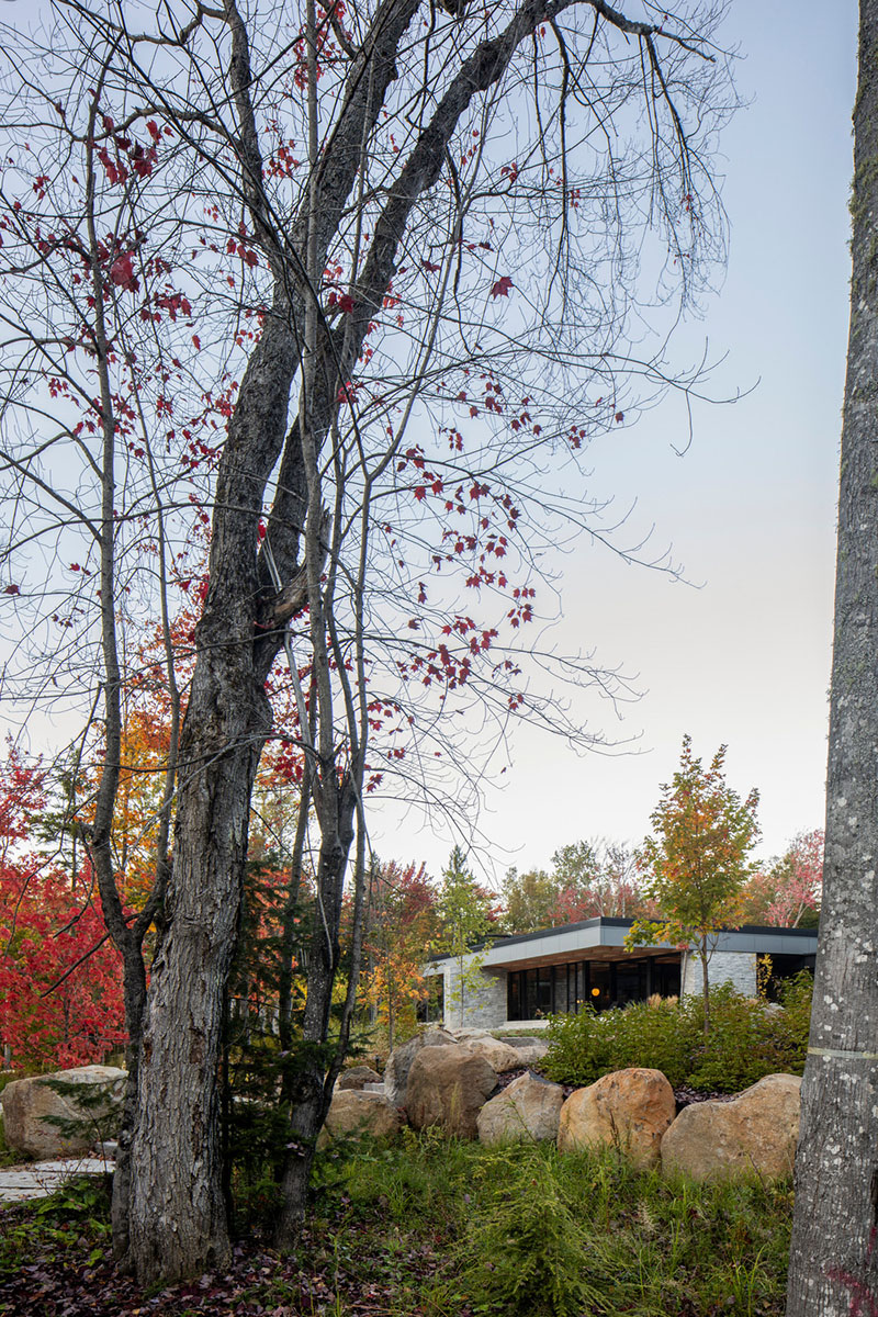 ACDF Architecture crea una vivienda escrita por el paisaje