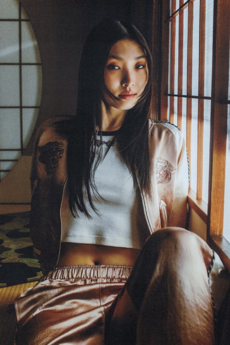 Bape celebra la era dorada del streetwear japonés para ss26