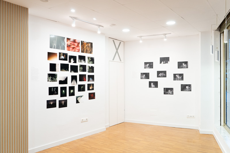 Manuel Granados despliega su universo espiritual en Efímera