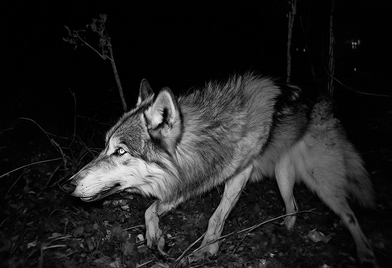 Manuel Granados despliega su universo espiritual en Efímera