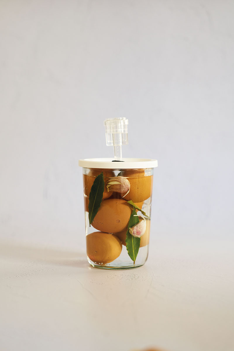 Fermentación casera: recetas sencillas para procesos vivos