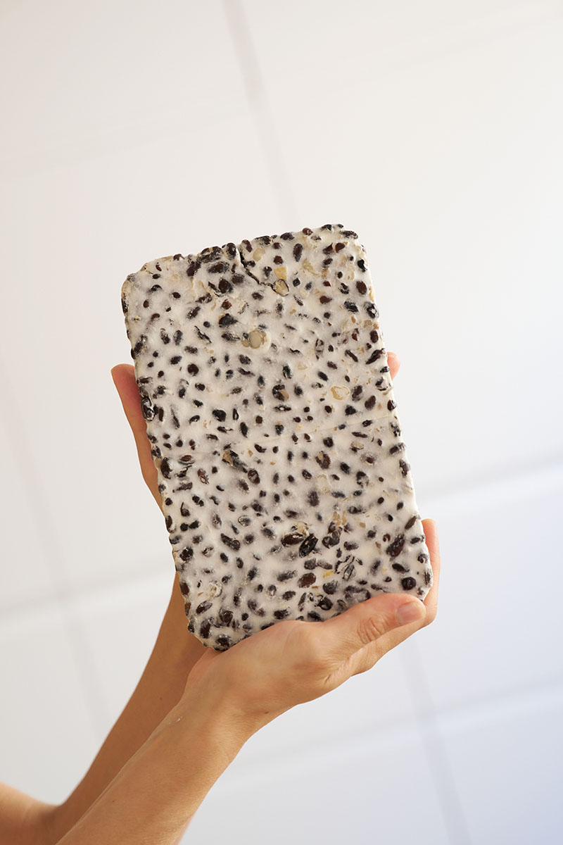 Fermentación casera: recetas sencillas para procesos vivos