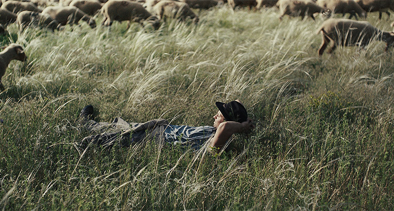 Hasta la Montaña, oda moderna al pastoreo y la naturaleza