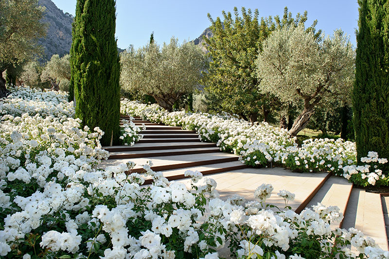Jardins Tramuntana: el jardín de Joan Nadal en la sierra