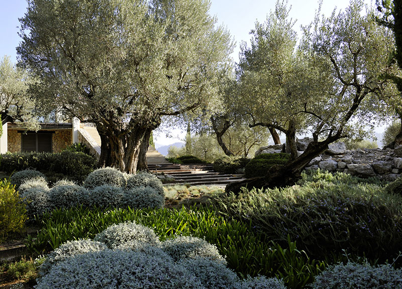 Jardins Tramuntana: el jardín de Joan Nadal en la sierra