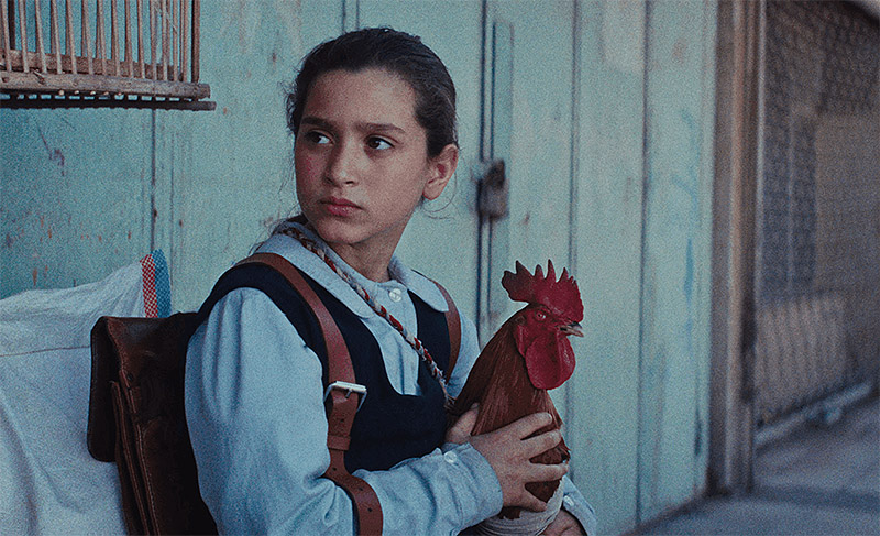 La Tarta del Presidente: infancia y miedo bajo la dictadura