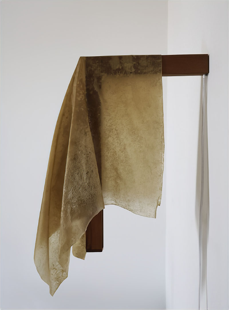 Manifiesto Mediterráneo, muestra más reflexiva del MDF 2026