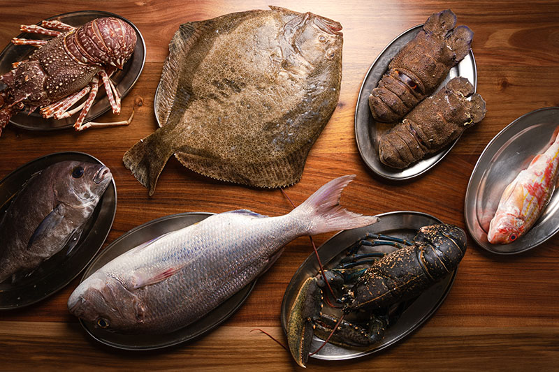 Sr. Cangrejo en Sevilla, entrevistamos a sus creadores