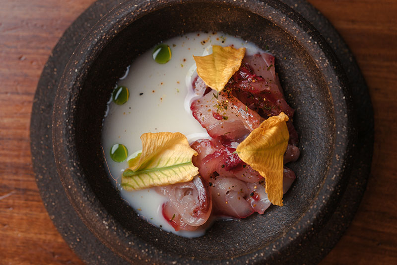 Sr. Cangrejo en Sevilla, entrevistamos a sus creadores