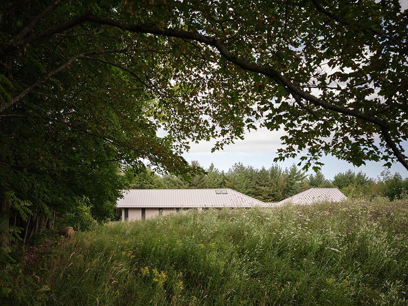 El estudio Superkül diseña Casa Ridge sin ir contra natura
