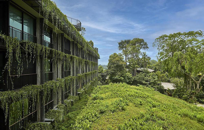 Wow Architects construye un hotel que crece como una planta