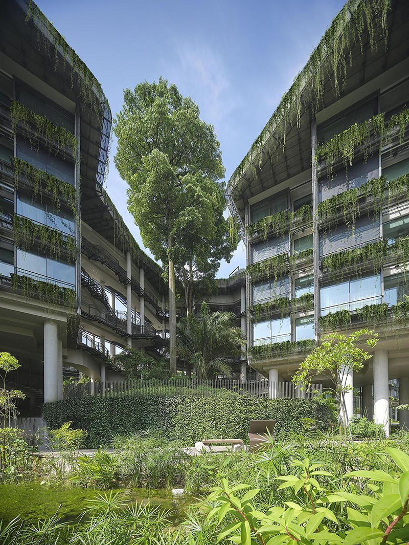 Wow Architects construye un hotel que crece como una planta