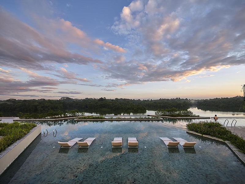 Wow Architects construye un hotel que crece como una planta