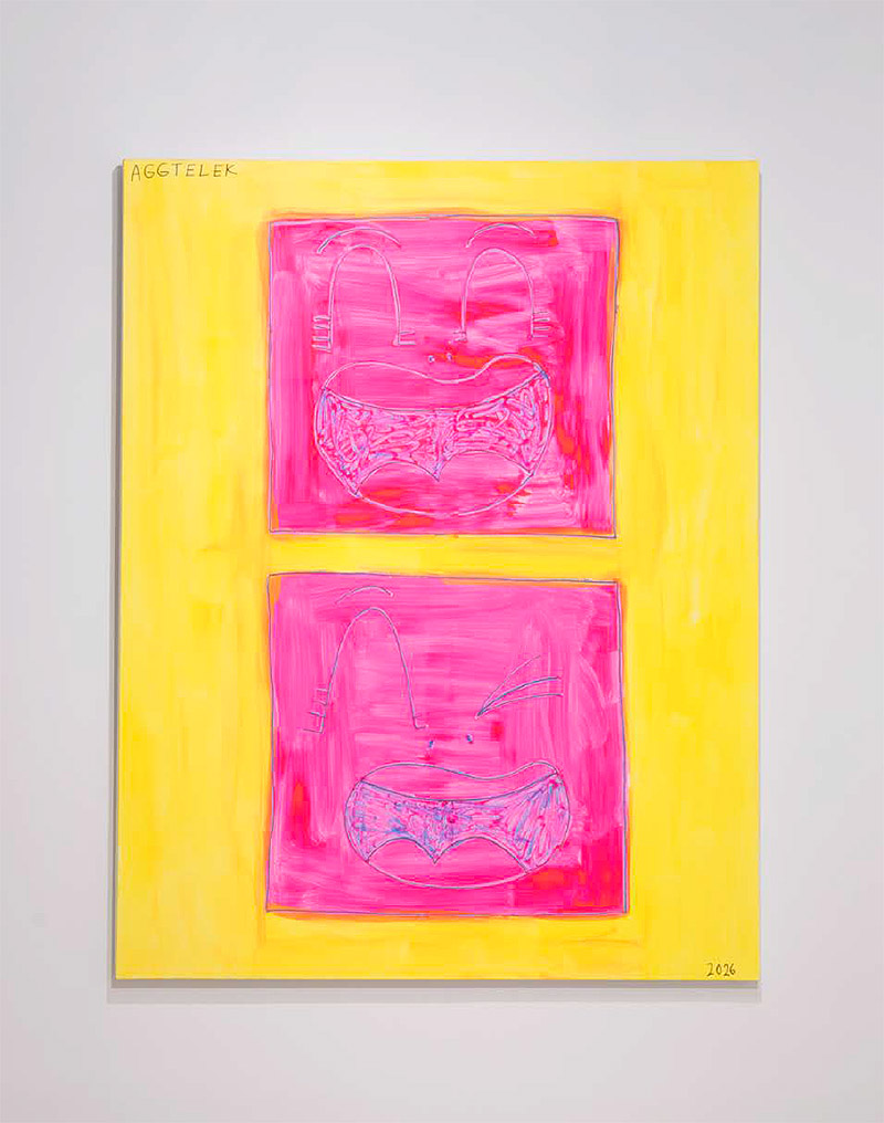 Aggtelek presenta la exposición New Kids on the World