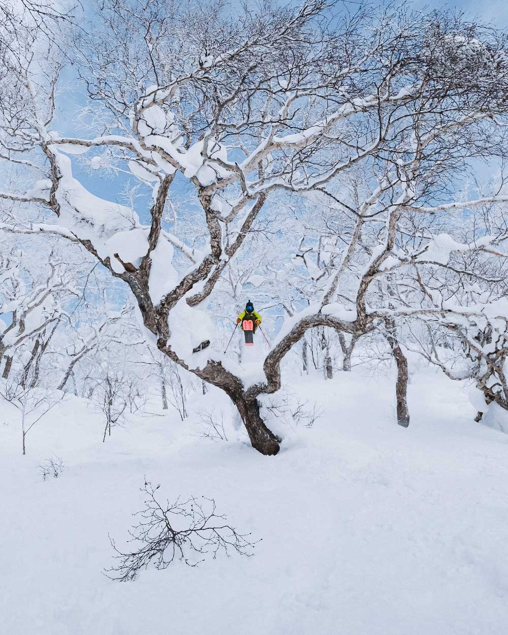 El estoicismo del esquiador Léo Slemett  por The North Face