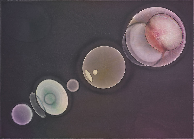 Olafur Eliasson: pintura, luz y percepción en expansión