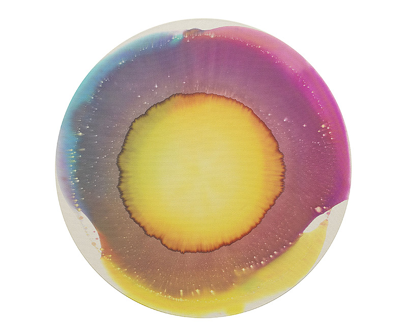 Olafur Eliasson: pintura, luz y percepción en expansión