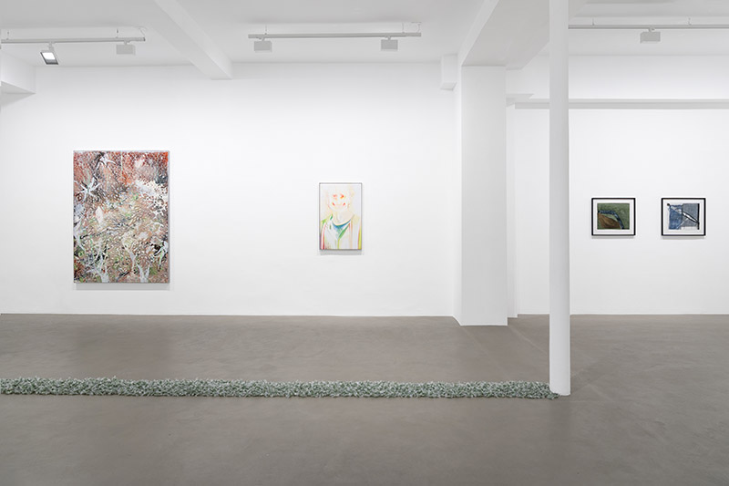 Exposición Pharmakon: el verde entre promesa y amenaza