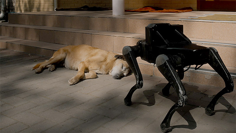 Malashchuk y Khimei muestran Pedagogies of War en TBA21