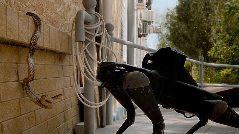 Malashchuk y Khimei muestran Pedagogies of War en TBA21