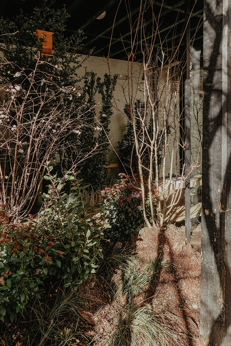 Finsa y Enorme Studio crean un espacio para leer sin prisas