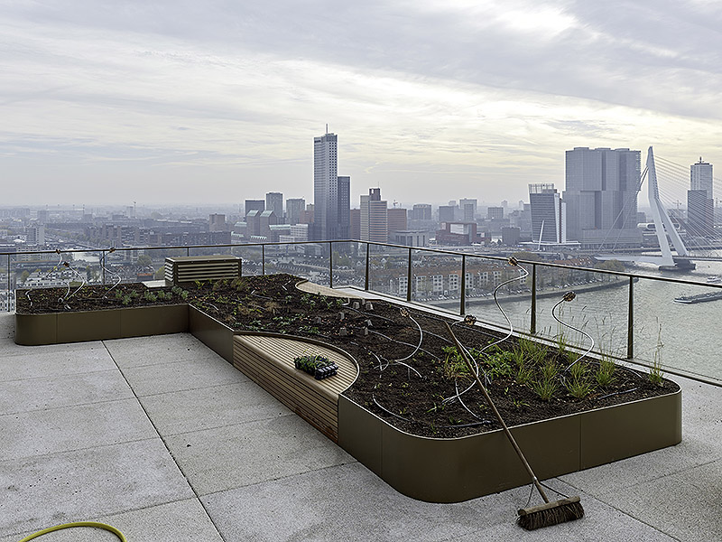 El renacimiento del Nederlands Fotomuseum en Rotterdam