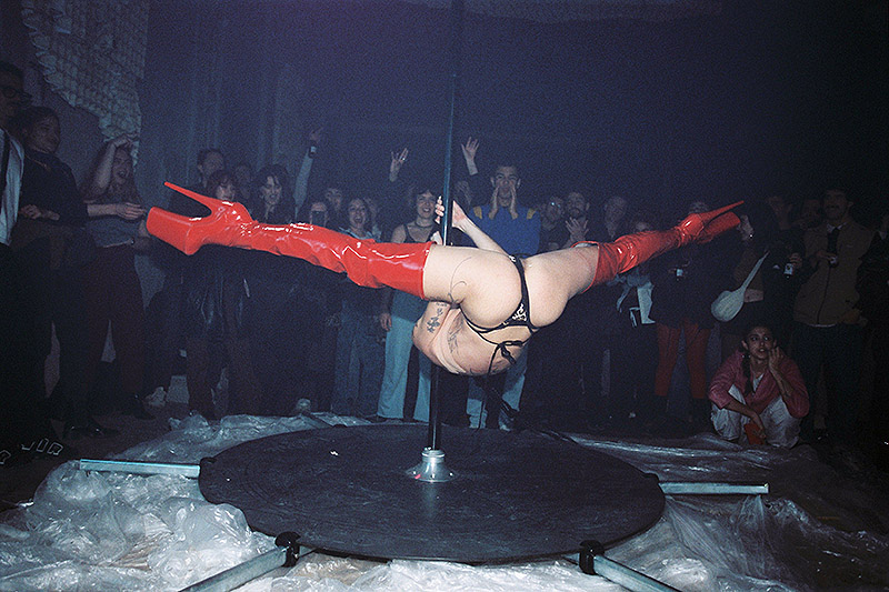 Pluto: ecosistema cultural vivo desde la huerta valenciana!