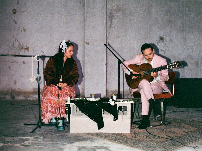 Pluto: ecosistema cultural vivo desde la huerta valenciana!