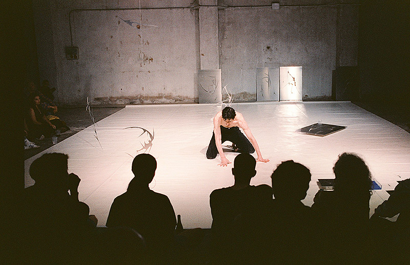 Pluto: ecosistema cultural vivo desde la huerta valenciana!