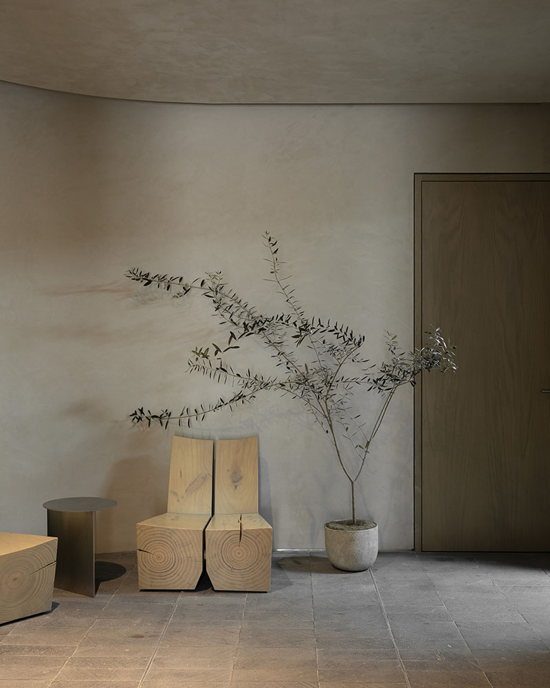 PPAA proyecta Lamartine: diez habitaciones y grandes ideas