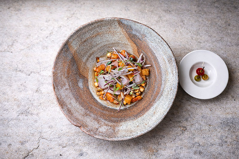 Pacto Raíz: mestizaje peruano-mexicano con raíces españolas