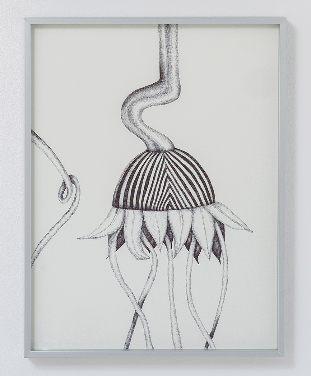 Ekdysis: cuerpos en tránsito y mutación en Corvus Blanc