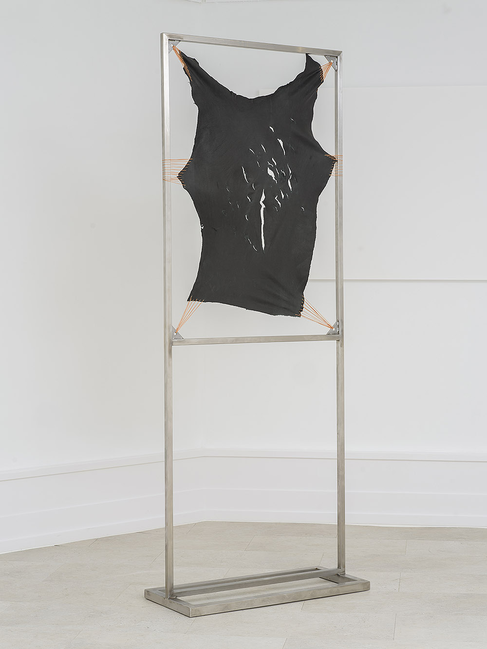 Ekdysis: cuerpos en tránsito y mutación en Corvus Blanc