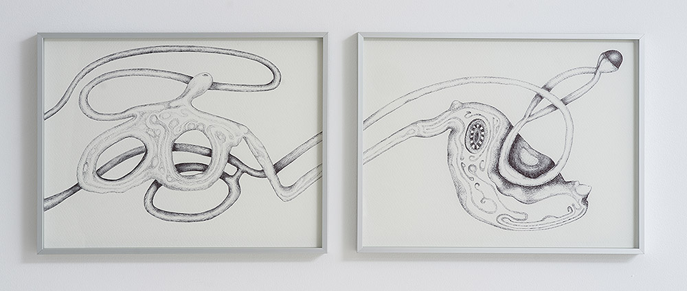 Ekdysis: cuerpos en tránsito y mutación en Corvus Blanc