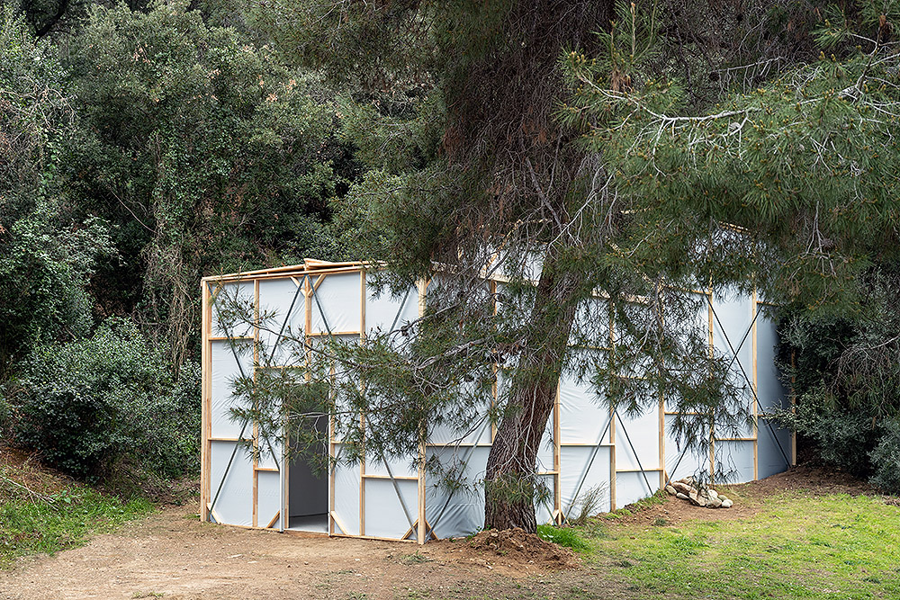 El Asalto de la Ilusión: arte, poder y manipulación visual