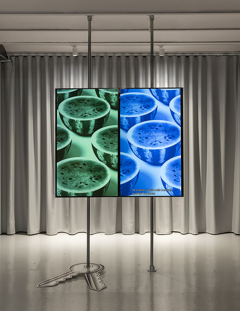 If It Walks Like a Duck... Eli Cortiñas reimagina a Dorothy